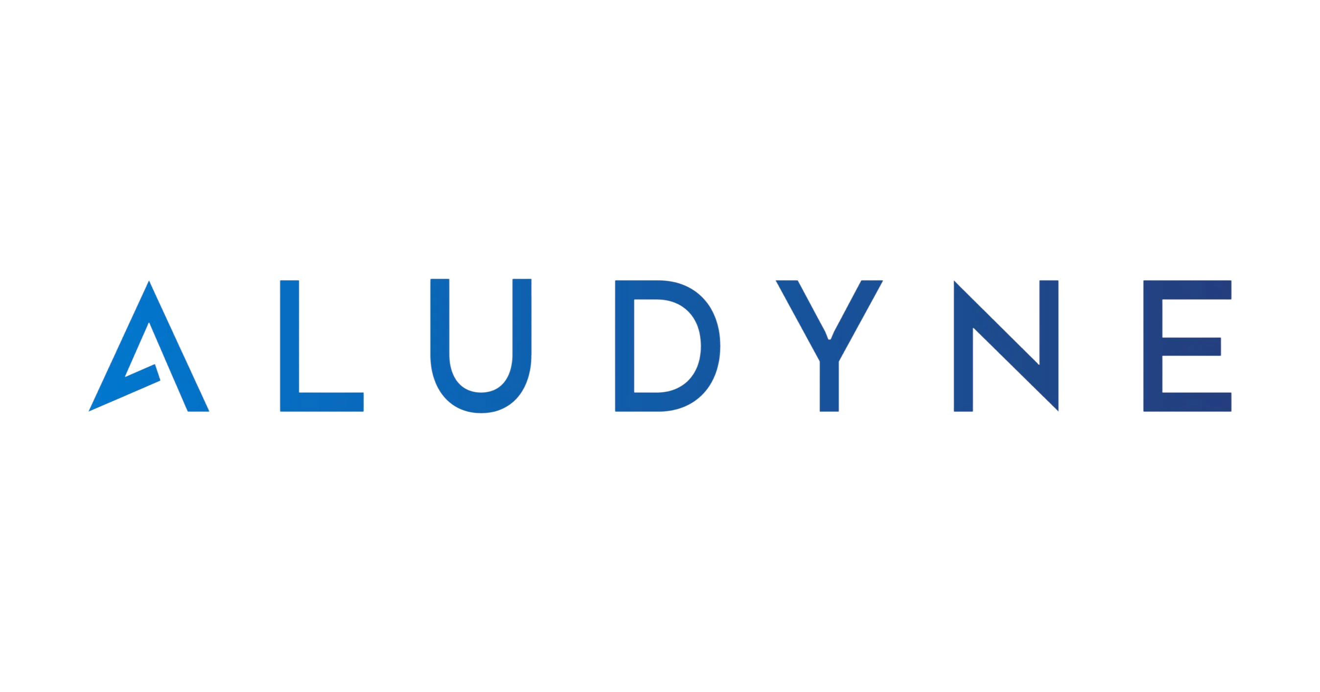 Aludyne